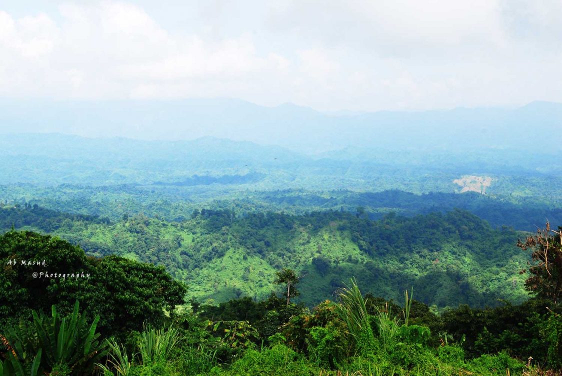 Sajek Valley