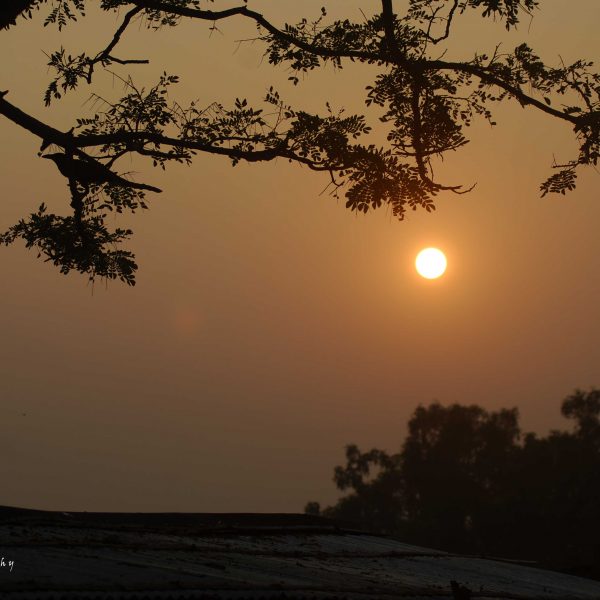 Sunset at The Sundarbans