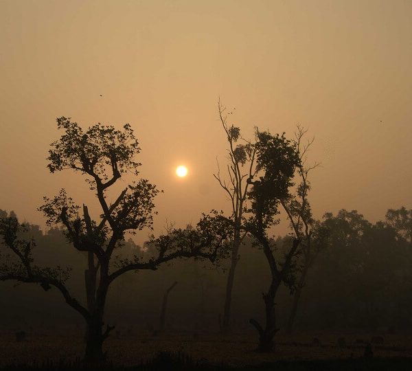 Beautiful Sunrise at Nijhum Island